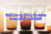 Chất keo tụ (COA) tự nhiên trong xử lý nước thải