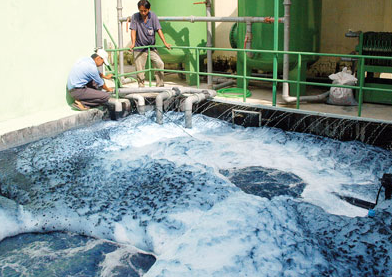 Tổng quan về nước thải sinh hoạt và các phương pháp xử lý