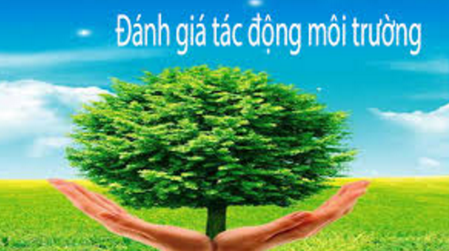 Đánh giá môi trường chiến lược, Đánh giá tác động môi trường ở Việt Nam