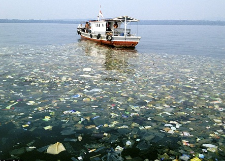 Quan trắc POP trong biển ven bờ Việt Nam và một số kết quả hiện trạng ô nhiễm Polychlorinated Biphenyl (pcbs) ven bờ đông bắc và châu thổ sông hồng