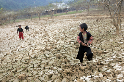 Xu thế biến đổi khí hậu ở Việt Nam trong thế kỷ 21