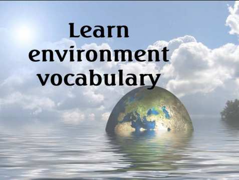 Từ vựng hữu ích bài học environment and ecology – Tiếng Anh môi trường