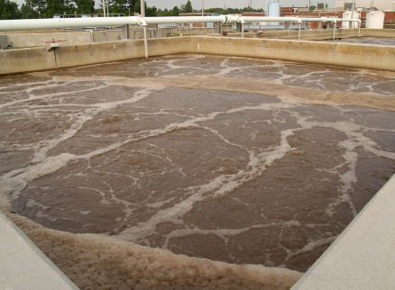 Bể bùn hoạt tính trong xử lý nước thải
