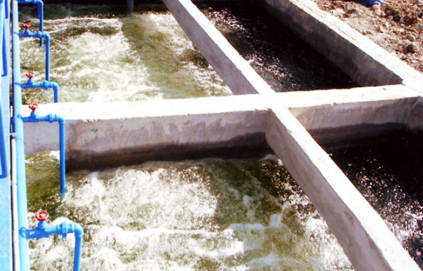 Xử lý nước thải chăn nuôi bằng công nghệ sinh học